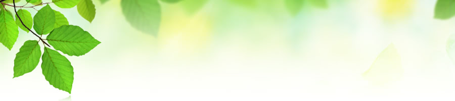 ���j�A�̊X�@�ѓc�̍s�����m